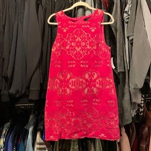 Cynthia Steffe Dancing Rose Dress - 8 NWT